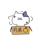 White soft cat（個別スタンプ：40）