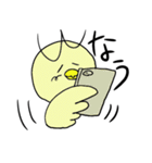 waranbird（個別スタンプ：16）