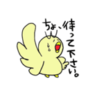 waranbird（個別スタンプ：17）