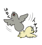 waranbird（個別スタンプ：33）