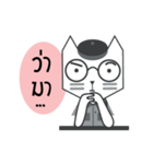 CatPaper（個別スタンプ：19）