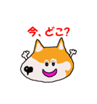 日本 柴犬 5（個別スタンプ：22）