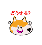 日本 柴犬 5（個別スタンプ：23）