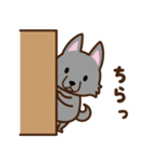 シッポしっぱ（個別スタンプ：17）