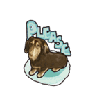 Dachshund century-egg（個別スタンプ：14）