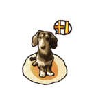 Dachshund century-egg（個別スタンプ：33）