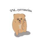 Pompom Marnoinarak（個別スタンプ：3）