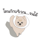 Pompom Marnoinarak（個別スタンプ：22）