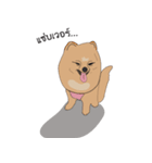 Pompom Marnoinarak（個別スタンプ：29）