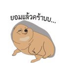 Pompom Marnoinarak（個別スタンプ：35）