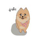 Pompom Marnoinarak（個別スタンプ：37）