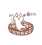 ふたねこねこのこ（個別スタンプ：38）