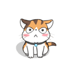 Soidow Cat Animated(Eng)（個別スタンプ：9）