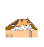 Soidow Cat Animated(Eng)（個別スタンプ：12）