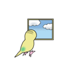 ナルシスインコ（個別スタンプ：3）
