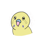 ナルシスインコ（個別スタンプ：5）