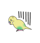 ナルシスインコ（個別スタンプ：6）