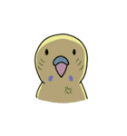 ナルシスインコ（個別スタンプ：7）