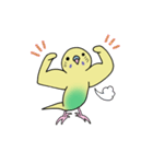 ナルシスインコ（個別スタンプ：8）