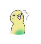 ナルシスインコ（個別スタンプ：15）