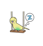 ナルシスインコ（個別スタンプ：19）