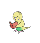 ナルシスインコ（個別スタンプ：23）