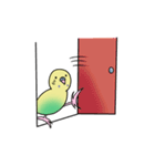 ナルシスインコ（個別スタンプ：26）