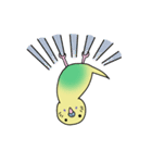 ナルシスインコ（個別スタンプ：27）