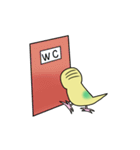 ナルシスインコ（個別スタンプ：28）