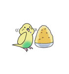 ナルシスインコ（個別スタンプ：29）