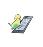 ナルシスインコ（個別スタンプ：32）