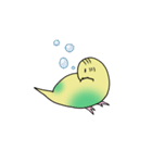 ナルシスインコ（個別スタンプ：34）