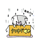 ねこちゃんのダンボール（個別スタンプ：13）