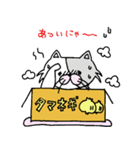 ねこちゃんのダンボール（個別スタンプ：20）