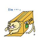 ねこちゃんのダンボール（個別スタンプ：36）