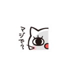 おしゃれネコ ねここさん（個別スタンプ：14）