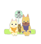 Cat＆dog1（個別スタンプ：1）