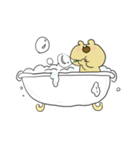 くまのぽぽ（個別スタンプ：39）