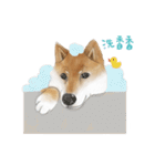 Shiba Huck（個別スタンプ：27）