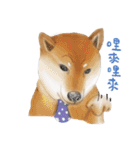 Shiba Huck（個別スタンプ：29）