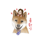 Shiba Huck（個別スタンプ：36）