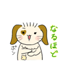 うさぎのゆるーい日常（個別スタンプ：19）