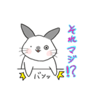 うさぎのゆるーい日常（個別スタンプ：20）