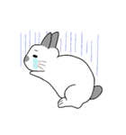 うさぎのゆるーい日常（個別スタンプ：22）