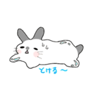 うさぎのゆるーい日常（個別スタンプ：24）