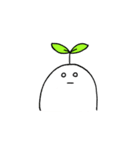 しろい いきもの（個別スタンプ：11）