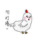 chicken chicken（個別スタンプ：9）