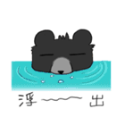 Taiwan bear's live（個別スタンプ：1）