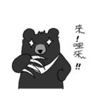 Taiwan bear's live（個別スタンプ：5）