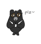 Taiwan bear's live（個別スタンプ：8）